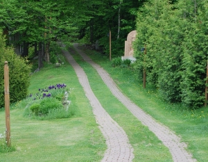 park lane