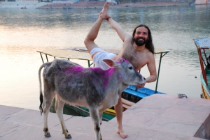 Quintessential Rishikesh: Yogi Vishvketu in asana, with cow and Ganga, Rishikesh