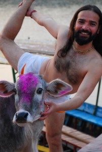 Vishva and cow