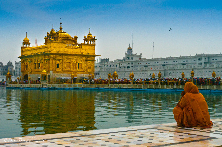 golden temple amritsar punjab. Golden Temple, Amritsar