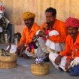 photograph of snake charmers in Jaipur, India,