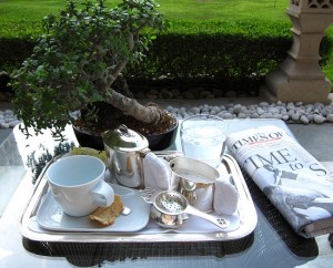 Tea tray at the Taj Palace Hotel, Delhi, India