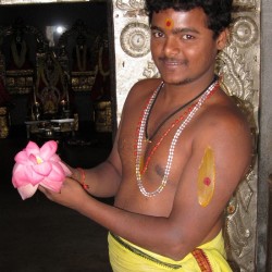 First recording was of the Rig Veda in Sanskrit Photograph of Hindu Pandit with lotus flower in Bangalore / Bengaluru