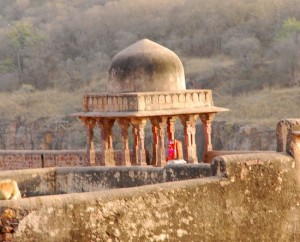 Photograph of the fort, Ranthambhore national park and tiger reserve, Rajasthan, India
