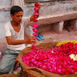 Top 5 things I’ve learned after traveling <br> a year in India Photograph of flower seller in India