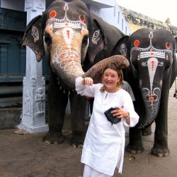 My story: Why I write about travel in India Elephant blessing in Kancheepuram, Tamil Nadu, India