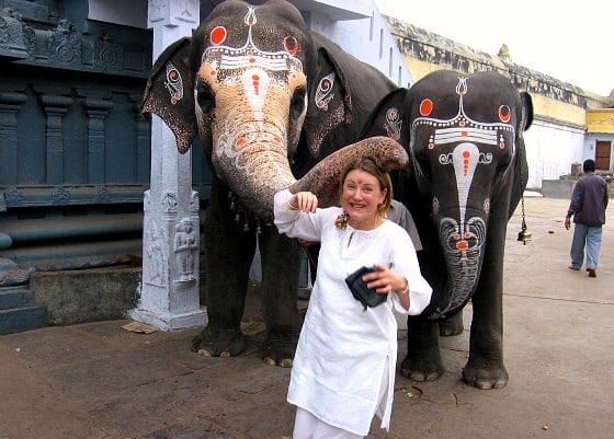 Elephant blessing in Kancheepuram, Tamil Nadu, India