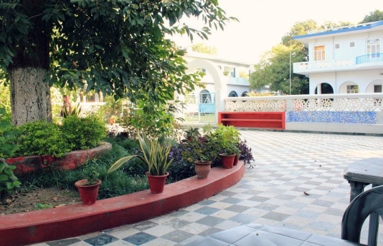 AA - dining hall and tree The outdoor dining area at Aurovalley Ashram, India