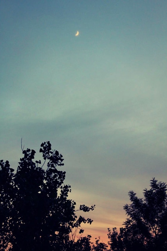 AA - pale sky with crescent moon Nighttime at Aurovalley Ashram: crescent moon hangs in the azure sky.