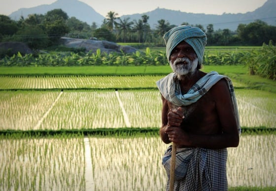 Near Tiruvannamalai, Tamil Nadu, India
