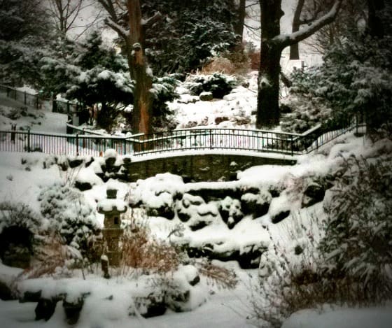 Canada snow High Park Toronto