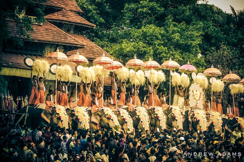 Thrissur Pooram Festival - Travel Photographer Andrew Adams