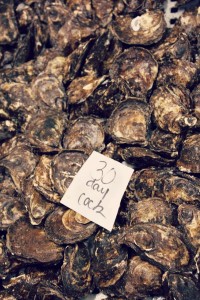 PEI malpeque oysters