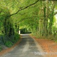 Cork Ireland