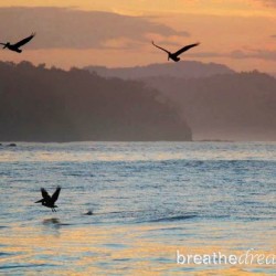 Top 5 magical moments in Costa Rica Sunrise and pelicans at Punta Islita, Costa RIca.
