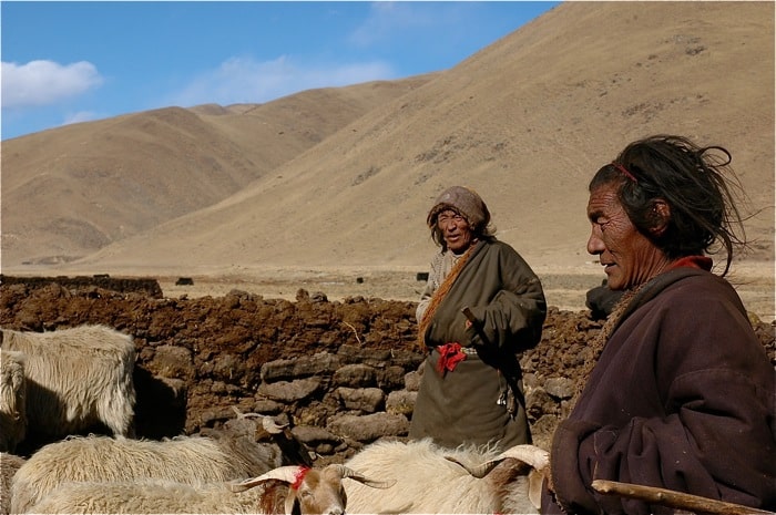 Jeff Fuchs explorer China tea India Himalaya