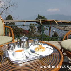 Tea and sympathy in Darjeeling Windamere Hotel, Darjeeling, India