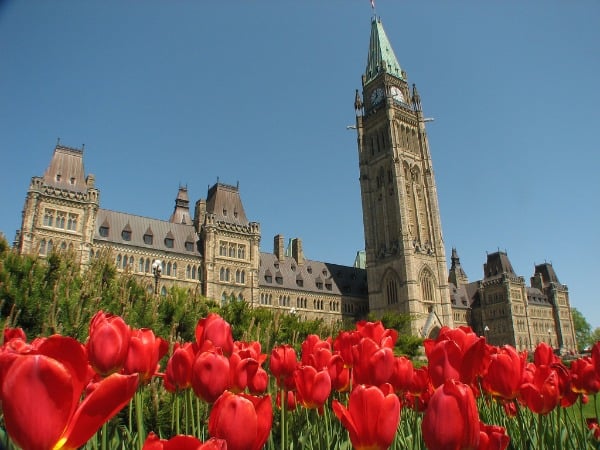 Tulips and Parliament Building Ottawa, Canada