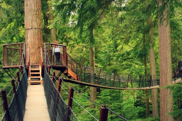 Capilano Suspension Bridge Park, Vancouver, British Columbia, Canada