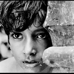 Pather Panchali, Apu Trilogy, The World of Apu, Satyajit Ray, India, film, cinema, Bengal, Bengali,