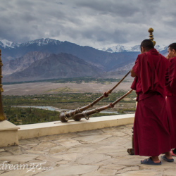 Ladakh, India, India travel, travel in India, solo female travel, Buddhism. monastery, Tibet, Thiksey