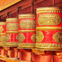 Monastery, Ladakh, India, Buddhist, mountain, art, culture, travel, tourist, tourism
