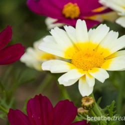 How one day of silence can change your life Aurovalley Ashram, India, silence, yoga, meditation, Himalayas, Rishikesh