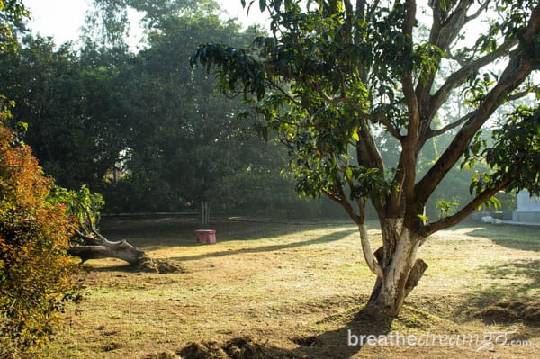 Aurovalley Ashram, India, silence, yoga, meditation, Himalayas, Rishikesh