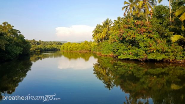 Goa, beach, India, travel, vacation, holiday, food, resort, yoga, spa, retreat, health, boutique, cuisine, chic, Ayurveda, Ashiyana