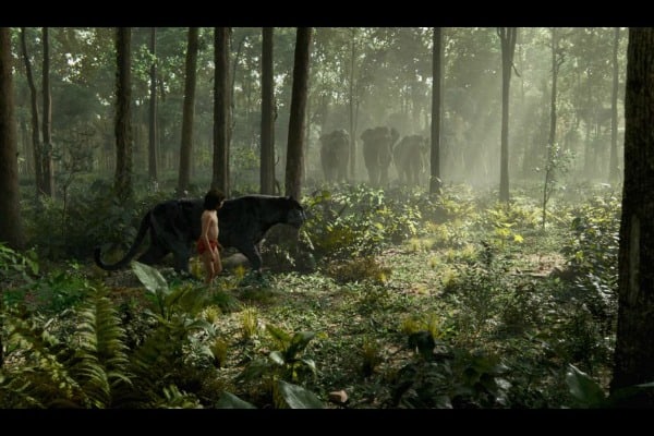 The Jungle Book Movie Celebrates India Breathedreamgo