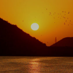 India in a Day reveals beauty, diversity, humanity India, India in a Day, film, TIFF, movie, travel, life