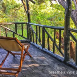 Pugdundee Safaris Lodges: Home base for tiger safaris in India tiger, tigers, India, travel, tour, tourist, park, reserve, Pugdundee, safari, safaris, Kanha, Bandhavgarh, Pench, Madhya Pradesh, Tree House Hideaway