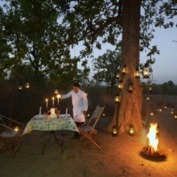 Tiger tour of national parks in India tiger tour, India tour, national parks in India