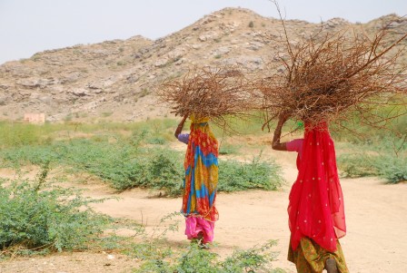 DSC_01112101 women in Rajastahn