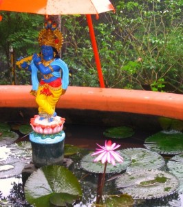 photograph of Krishna at Sivananda Ashram, Kerala, India