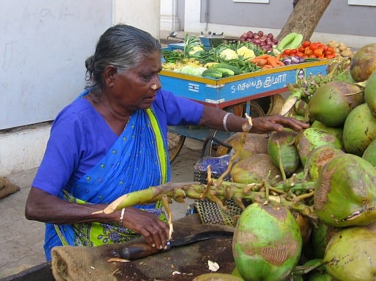 Pondicherry - coconuts 550 photograph of woman coconut seller in Pondicherry, India