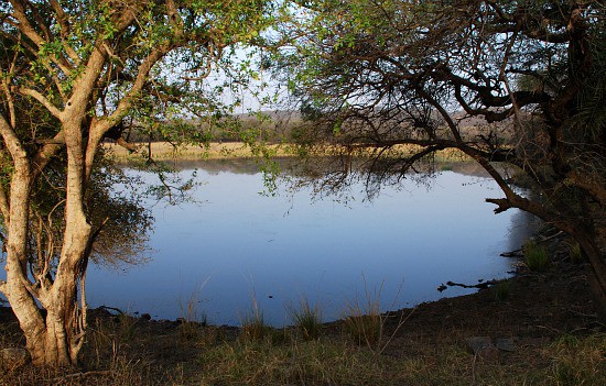 Photograph of lake at Ranthambhore National Park and tiger reserve, Rajasthan, India