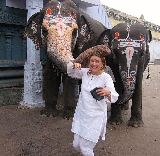 MW elephants Photograph of Mariellen Ward with temple elephants in Tamil Nadu, 2006