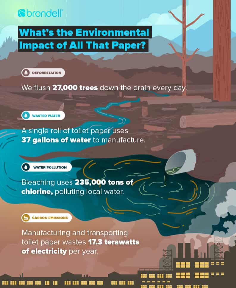 infográfico mostrando o impacto ambiental do papel higiênico 