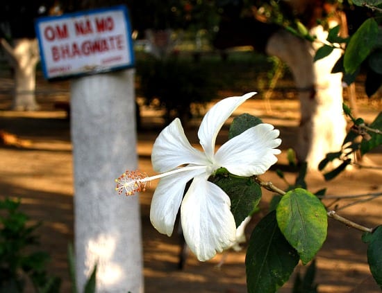 Photograph of Aurovalley Ashram, Rishikesh, India