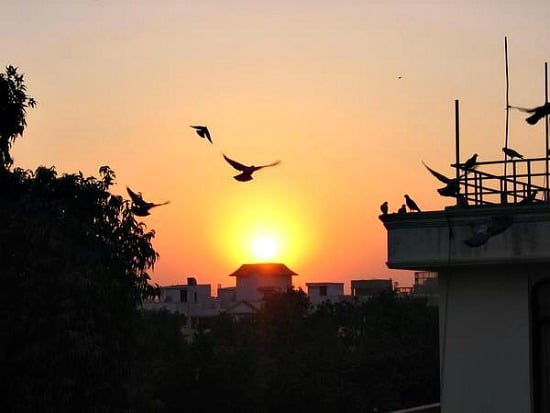 Sunset from the terrace in Delhi, 2005