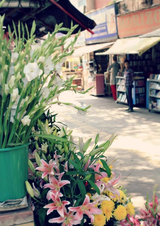 Green Park Market in South Delhi - where I go for sweets and manicures.