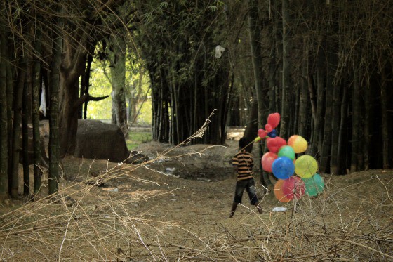 In Cubbon Park on Sunday afternoon, Bangalore, India