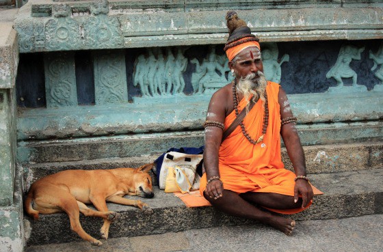 Temple sadhu dog Sadhu and friend at Arunachaleshwarar Temple, Tiruvannamalai, Tamil Nadu, India