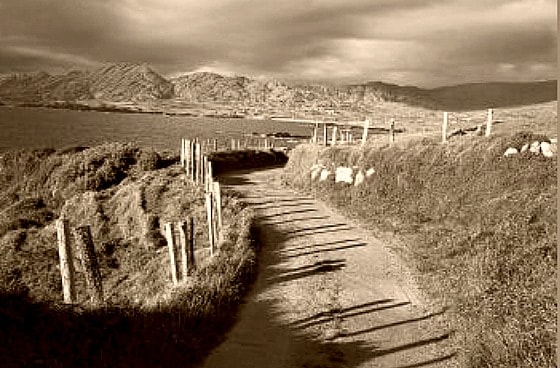 The coast of Cork, Ireland: The home of my ancestors The Gathering 2013