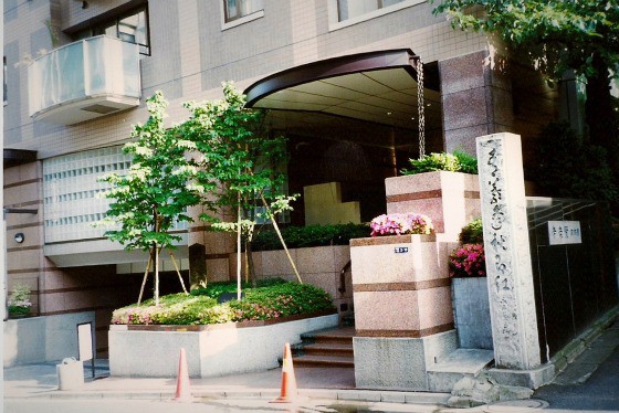 Travel writer Mariellen Ward in Tokyo Japan