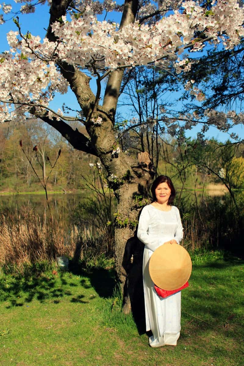 Cherry trees, High Park, Toronto