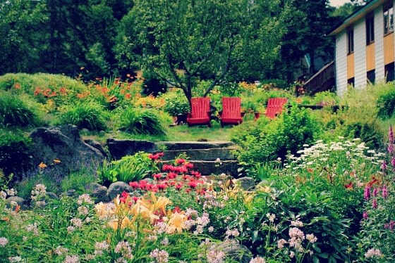 Sivananda Yoga Camp, Quebec, Canada