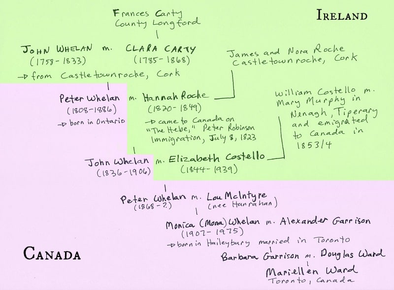 family tree colour