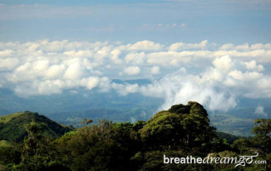 Monteverde Coud Forest Costa Rica 